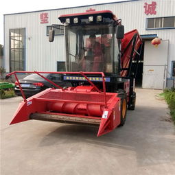 自走式青儲機(jī) 現(xiàn)代農(nóng)業(yè)的高效秸稈收割與青貯解決方案