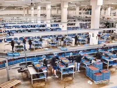 【視界】超越德國？揭秘農業科技領域的隱形冠軍